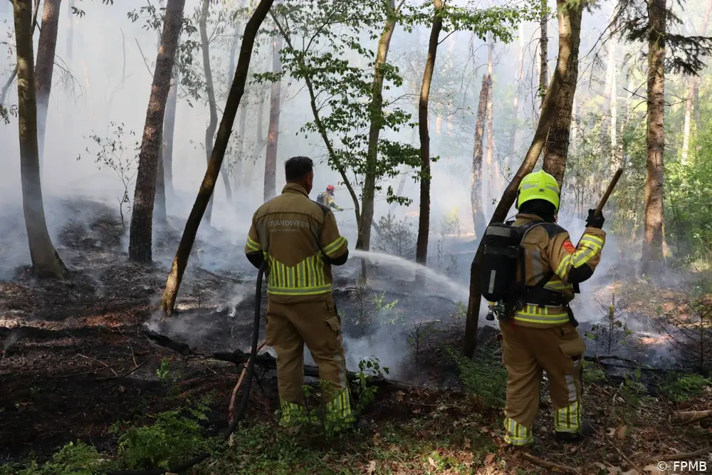 meerdere-brandweerwagens-naar-bosbrand-nabij-blauwe-meer-in-loon-op-zand
